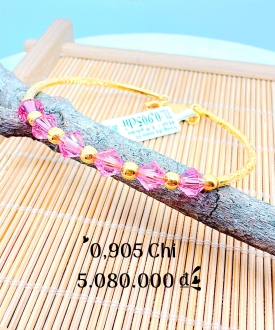 Vòng 6009