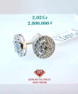 BÔNG 02111