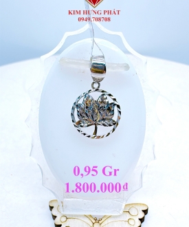 Mặt 1020
