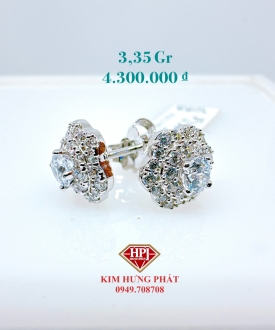 BÔNG 02116