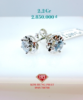 BÔNG 02117