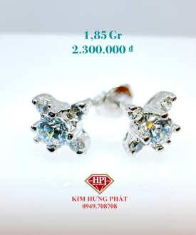 BÔNG 02119