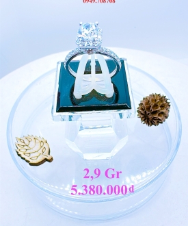 Nhẫn 519