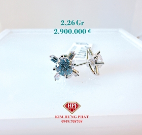 BÔNG 02113