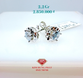 BÔNG 02117