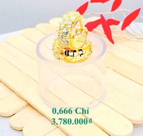 Bông 08