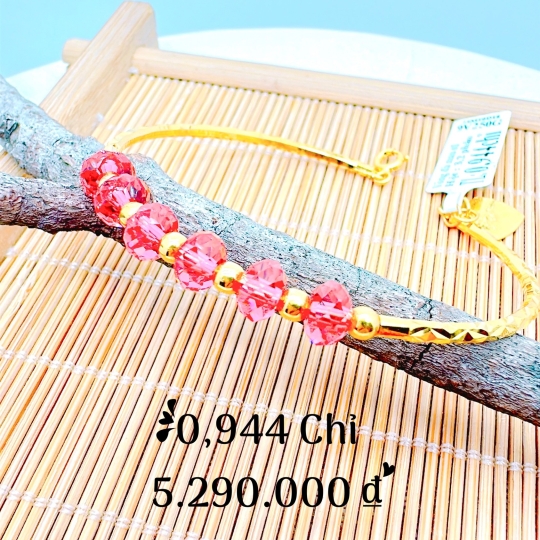 Vòng 6005