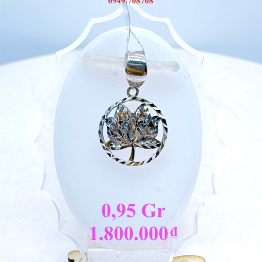 Mặt 1020
